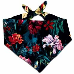 T6 Dark Path Bandana